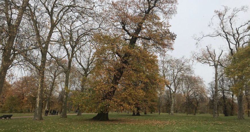 هاید پارک لندن هاید پارک لندن