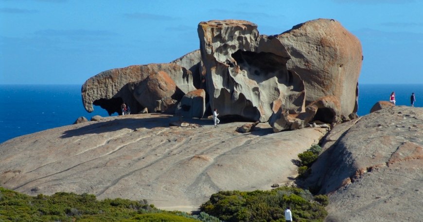 کانگورو آیلند