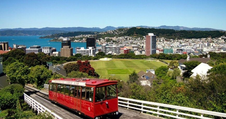 ولینگتون ولینگتون