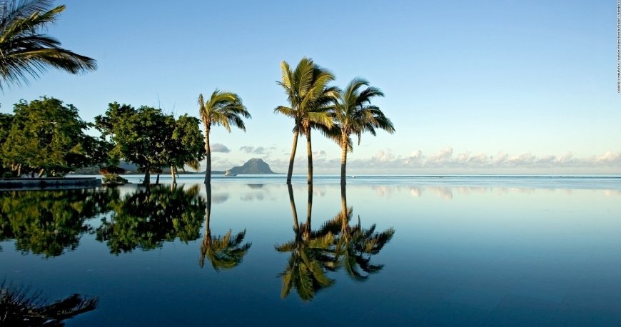 موریس موریس