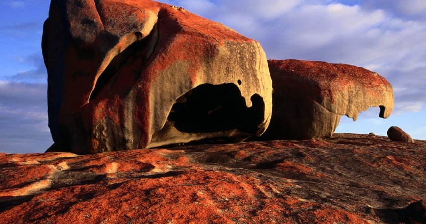 کانگورو آیلند