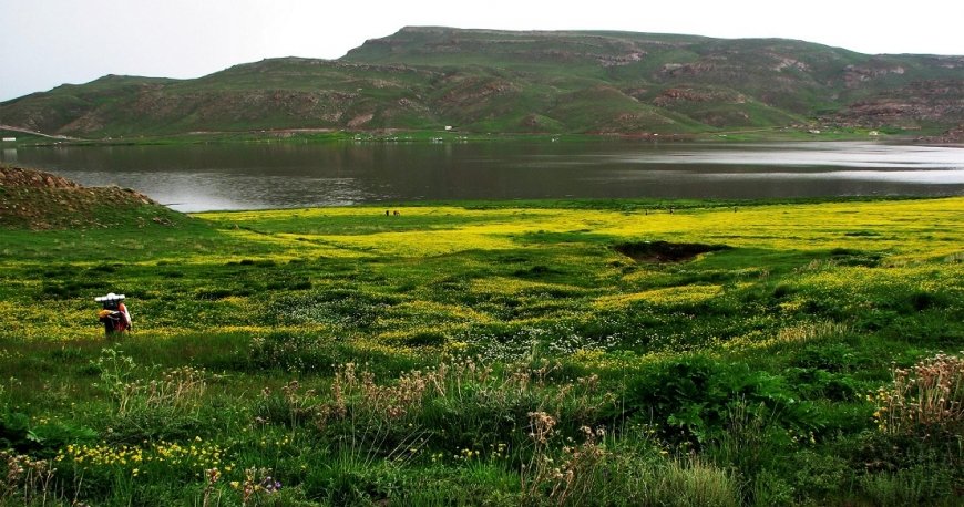 اردبیل اردبیل