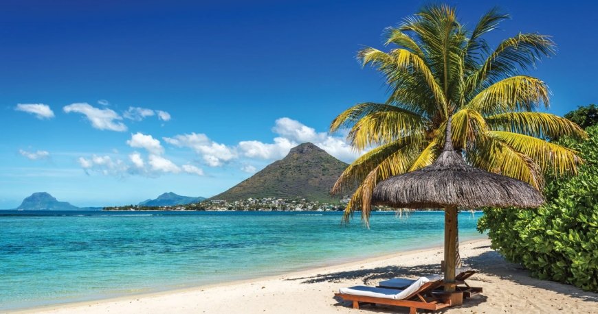 موریس موریس