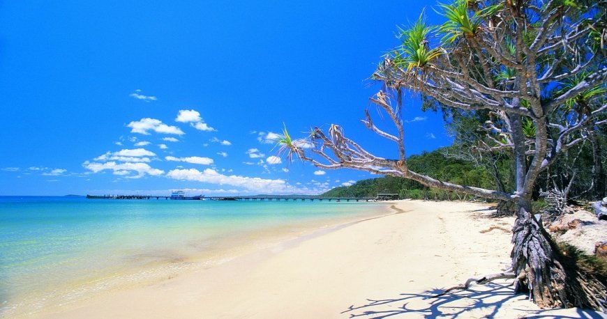 فریزر آیلند