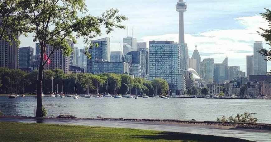 تورنتو تورنتو