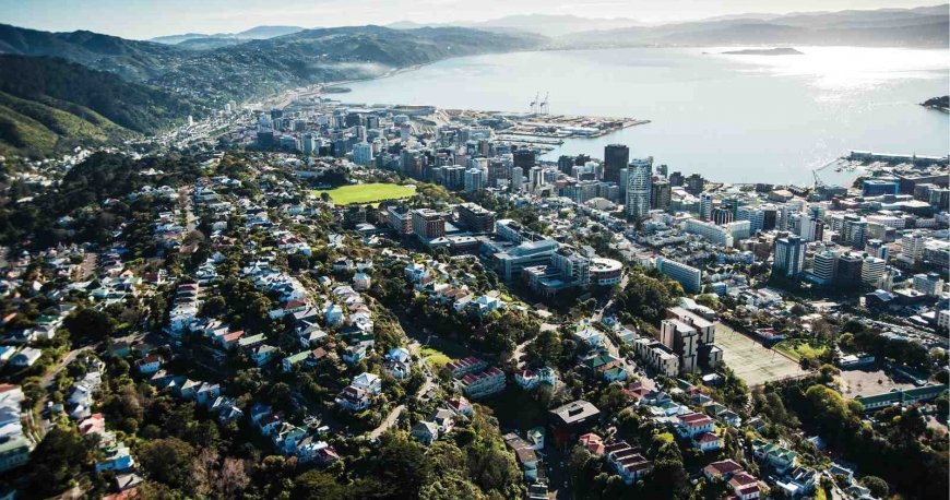 ولینگتون ولینگتون