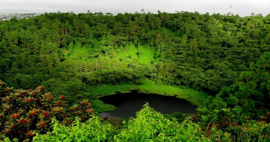 موریس موریس