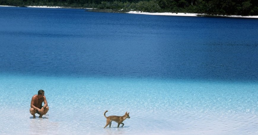 فریزر آیلند