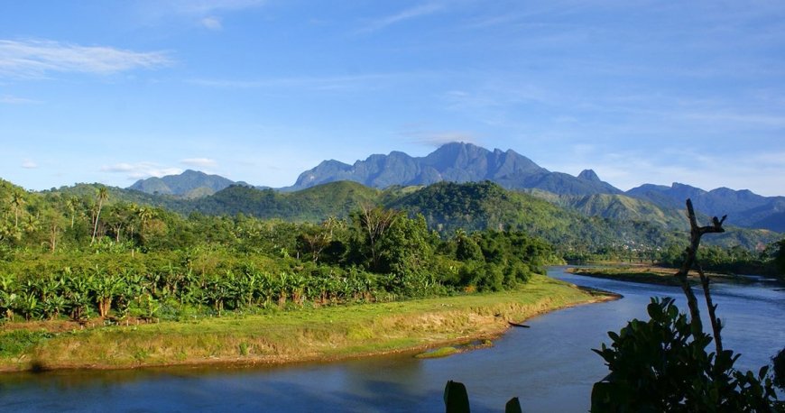 ماداگاسکار