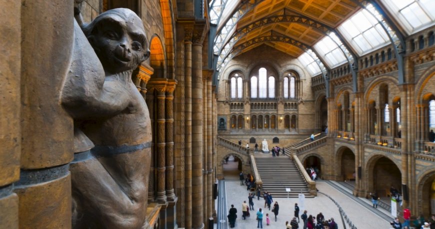 انگلیس انگلیس