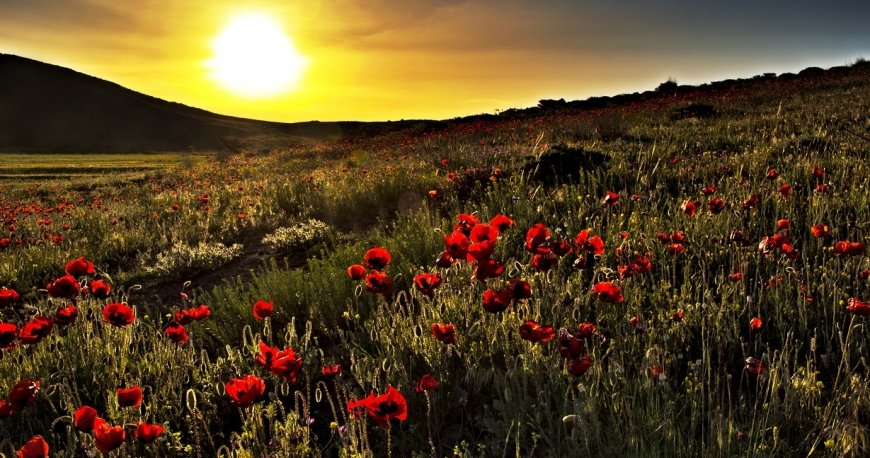 اردبیل اردبیل