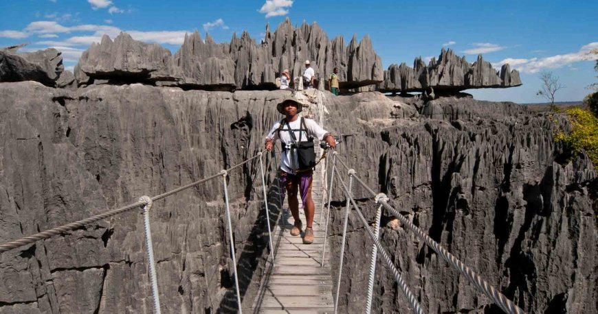 ماداگاسکار