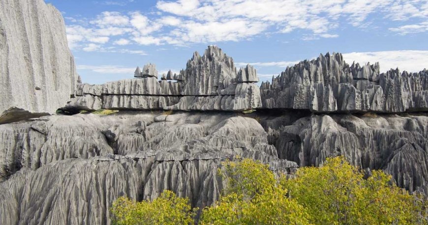 ماداگاسکار