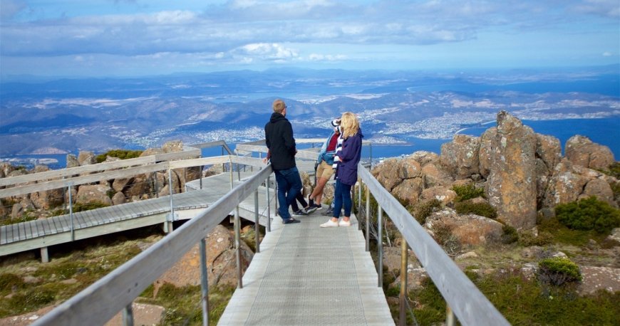 ولینگتون ولینگتون