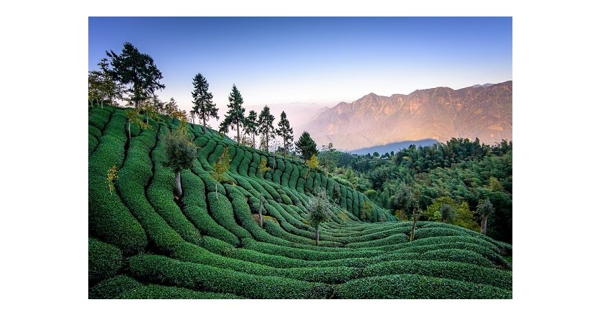 تایوان تایوان