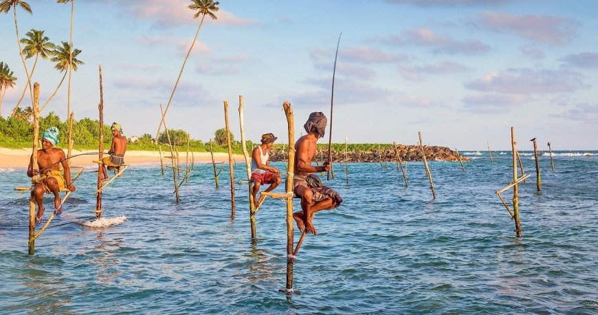 سریلانکا سریلانکا