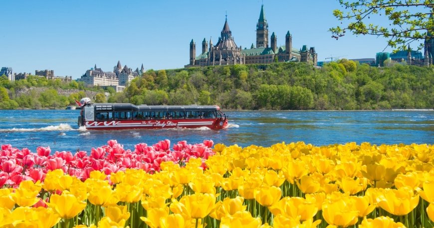 اتاوا اتاوا