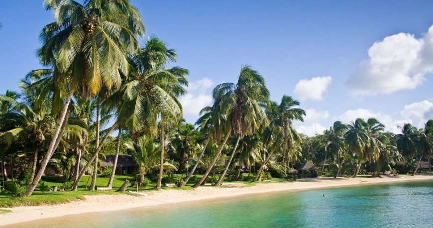 ماداگاسکار