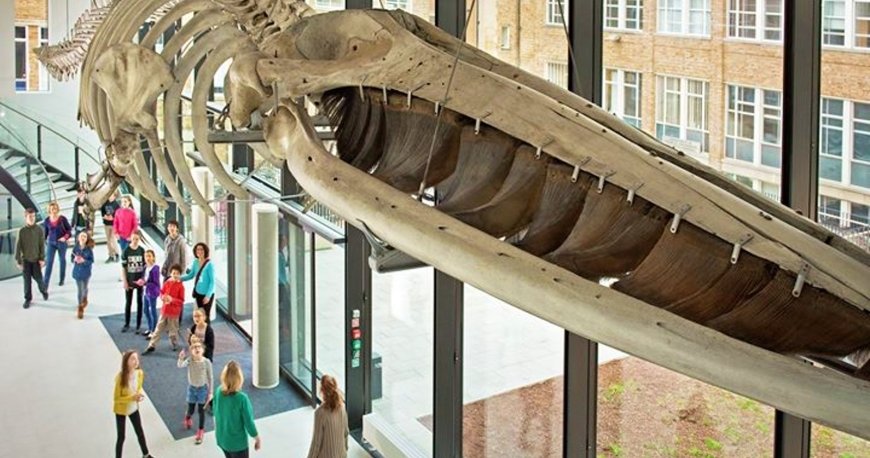 کمبریج کمبریج