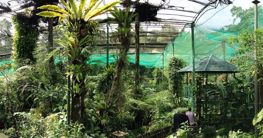 کوالالامپور کوالالامپور