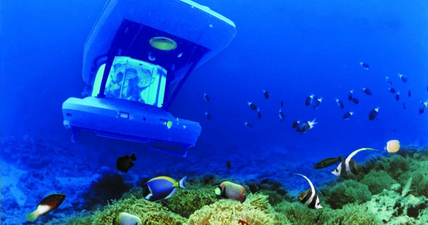 موریس موریس