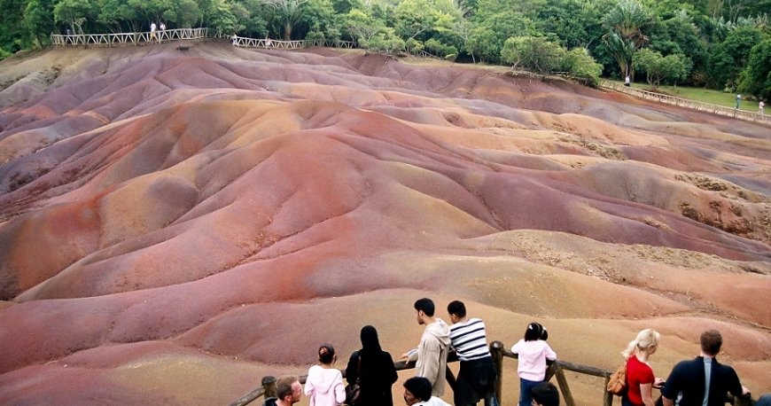 موریس موریس