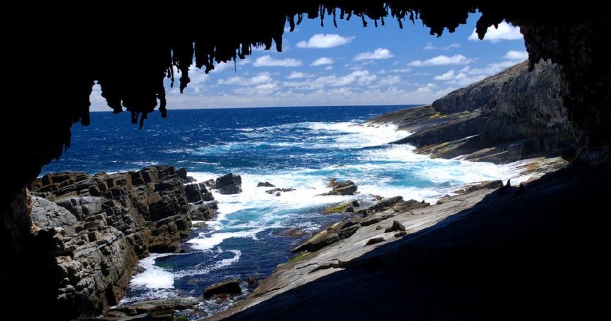 کانگورو آیلند