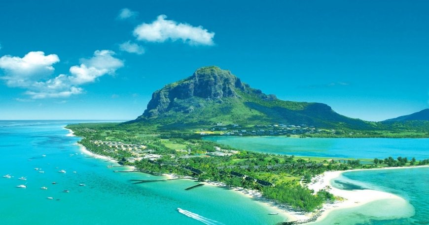 موریس موریس