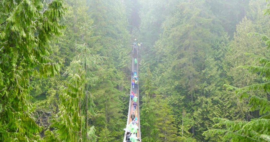 ونکوور ونکوور