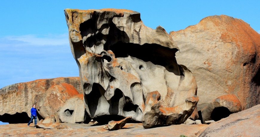 کانگورو آیلند