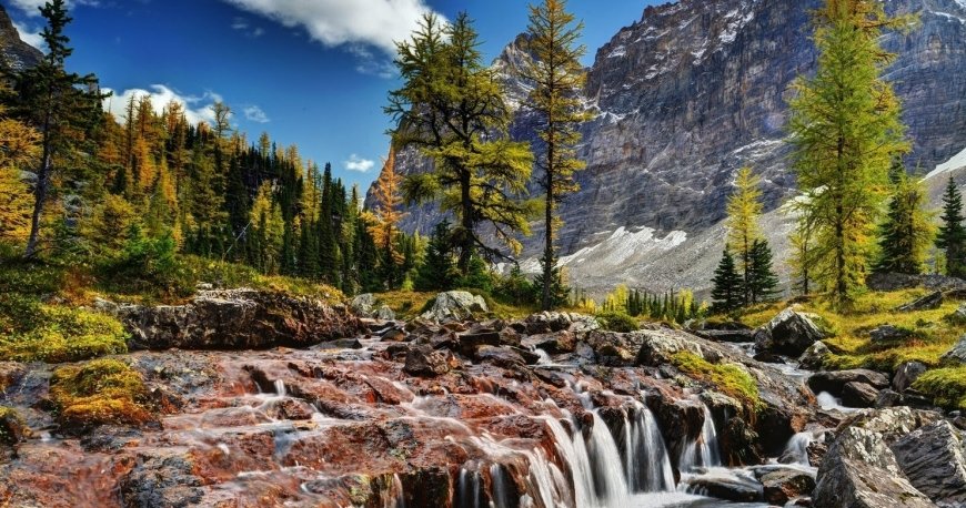 ونکوور ونکوور