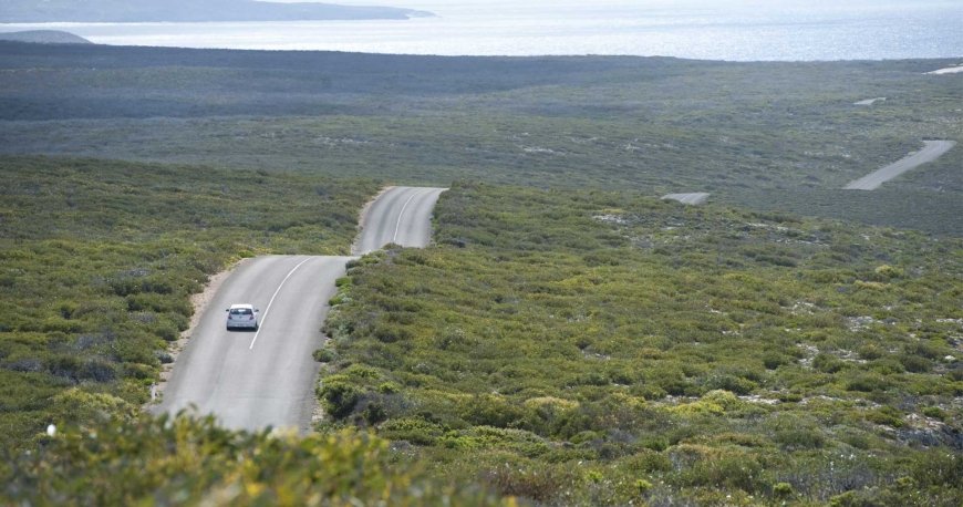 کانگورو آیلند