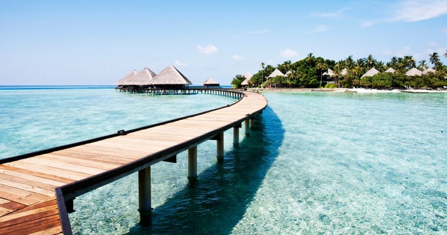 موریس موریس