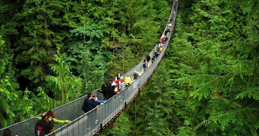 ونکوور ونکوور