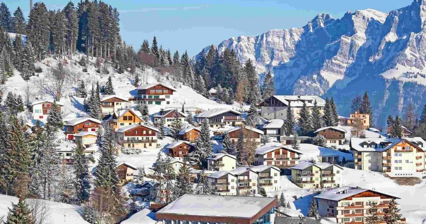 سوئیس سوئیس