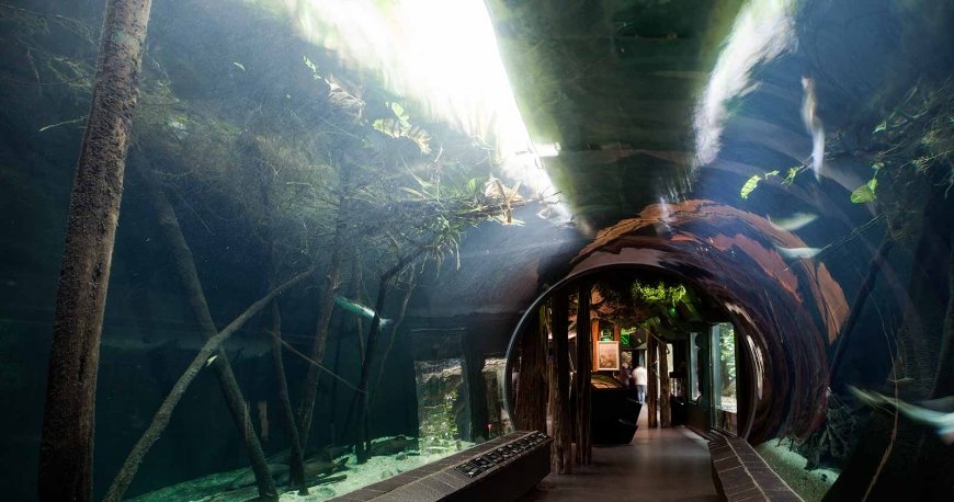 اتریش اتریش