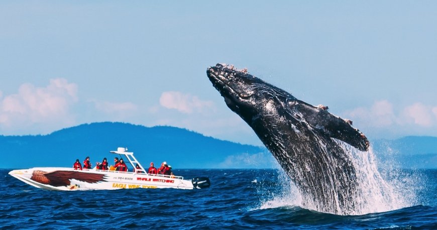 ونکوور ونکوور