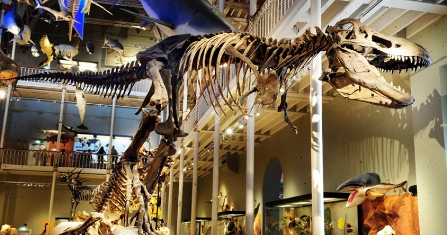 ادینبرو ادینبرو