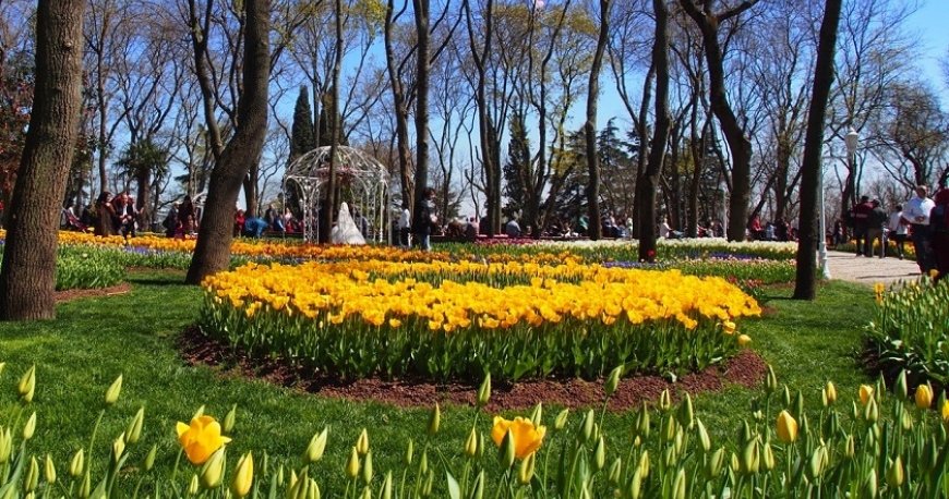 جشنواره گل لاله استانبول جشنواره گل لاله استانبول