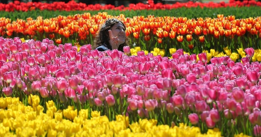 جشنواره گل لاله استانبول جشنواره گل لاله استانبول