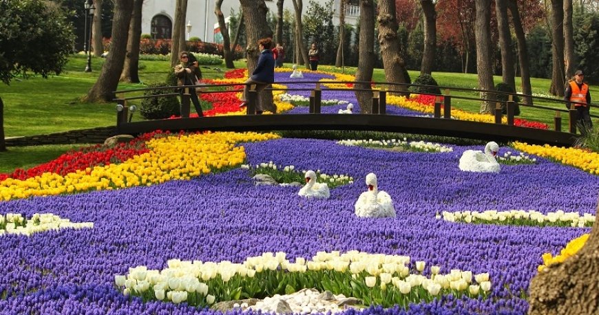 جشنواره گل لاله استانبول جشنواره گل لاله استانبول