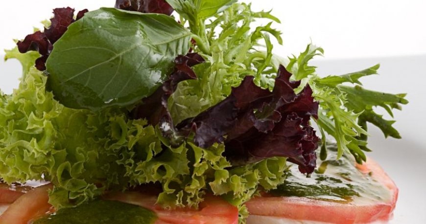 رستوران هتل لارس پارک استانبول ترکیه