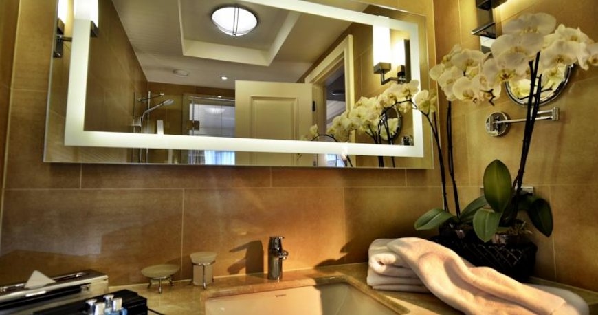 سرویس بهداشتی تایتانیک بیزنس بایرام پاشا