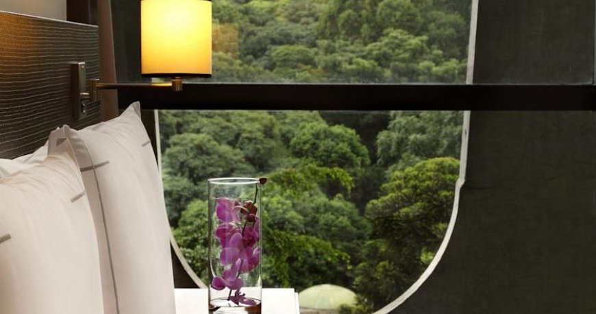 اتاق هتل تیولی سائو پائولو