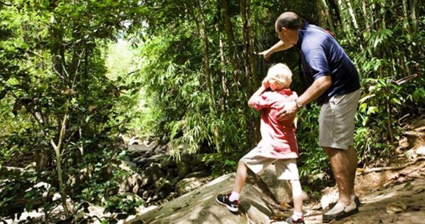 هتل بنیان تری پوکت هتل بنیان تری پوکت