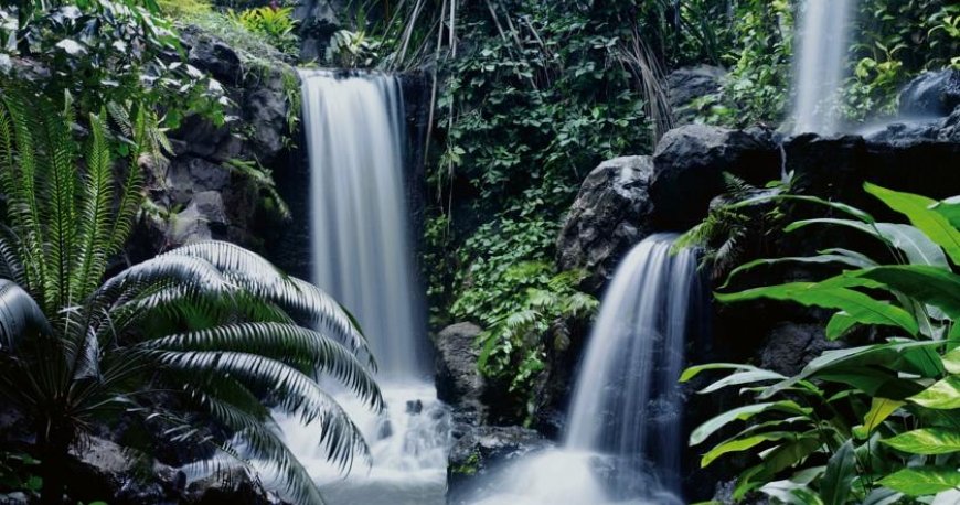 هتل گرند حیات سنگاپور