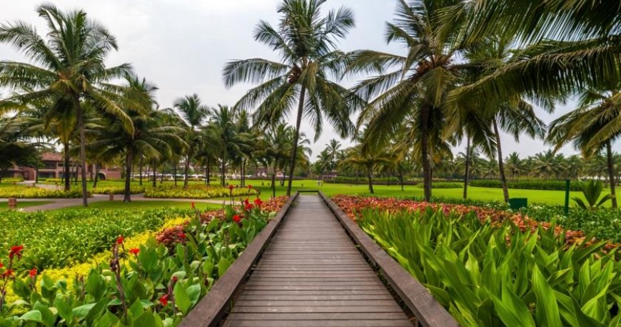 هتل پارک حیات