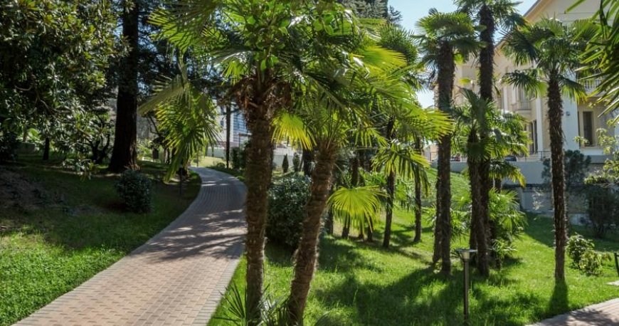 هتل سوئیستل کاملیا سوچی