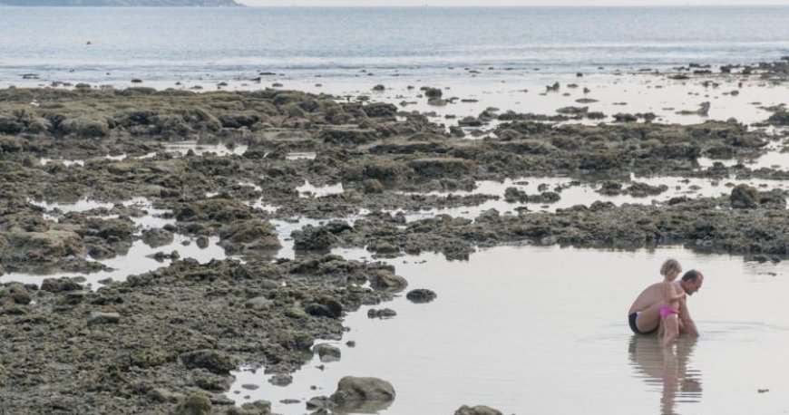 هتل تاورن بیچ پوکت هتل تاورن بیچ پوکت