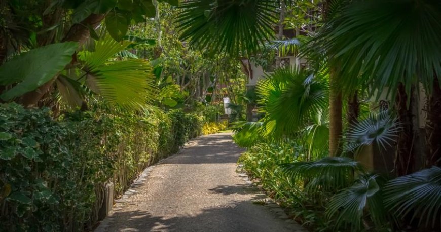 هتل تاورن بیچ پوکت هتل تاورن بیچ پوکت